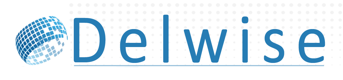 Delwise Infocom